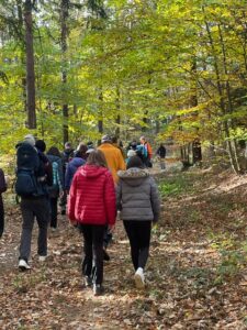 c6cc4dfc-e2e2-47f4-906e-bffa7e5e9862